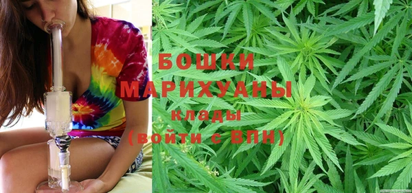 прущий лед Бородино