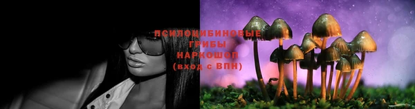 прущие крисы Бежецк