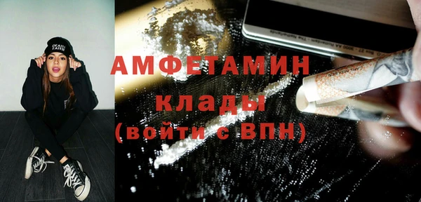 прущий лед Бородино
