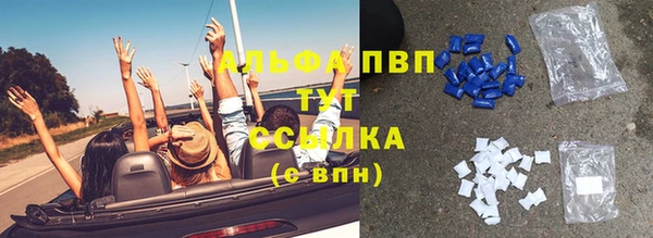 прущий лед Бородино