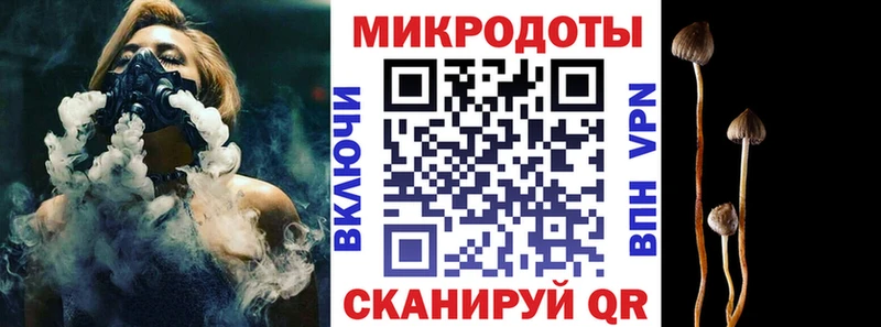 Псилоцибиновые грибы мицелий дарк нет официальный сайт Вяземский